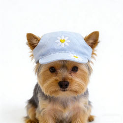 Gorra de mezclilla para perros con gafas de sol, accesorios de peluquería para mascotas, sombrero para cachorros pequeños y medianos, animales, gatos, Dachshund, Yorkshire, artículos.