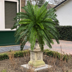 Plantas de palma artificiales de 45 cm, árbol de coco falso, hojas tropicales persas, árbol de cicada de plástico, hojas de coco artificiales para decoración del hogar y jardín