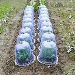 Cúpula protectora de humedad para plantas de plástico reutilizable, resistente a la temporada de aves, cubierta transparente para jardín para verduras, 10 Uds.