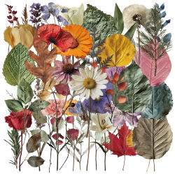 50 Uds. De pegatinas bonitas de plantas, calcomanías de muestras de plantas para teléfono, maleta para portátil, Notebook, monopatín, pegatina impermeable