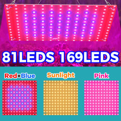 Luz LED para crecimiento de plantas, lámpara de relleno de tablero cuántico de espectro completo, 220V, 40W, lámparas hidropónicas para cultivo de plántulas, iluminación para cultivo de flores