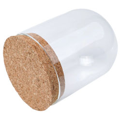 Alta calidad, útil, nueva, cubierta de vidrio para plantas calientes, accesorios para jarrón de plantas, decoración DIY, mesa de cúpula con corcho de madera