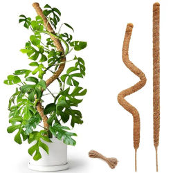 Soporte para Plantas, Poste de Musgo Flexible, Material Natural, Soportes para Plantas Hechos a Mano, Ecológicos, para Jardín, Macetas y Plantas de Interior