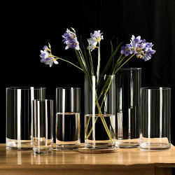 Plantas hidropónicas, florero de cristal de escritorio, florero de cristal, florero cilíndrico transparente, decoración del hogar de escritorio para dormitorio