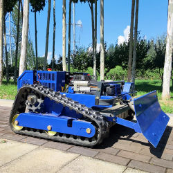 Cortacésped RC personalizado, cortador de césped Robot pequeño, ancho de corte de 500mm, cortacésped sobre orugas con Control remoto