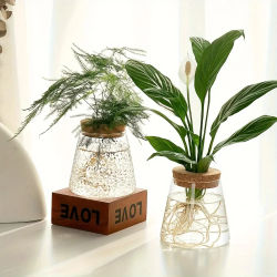 Estación de Propagación con Jarrones de Vidrio - Soporte de Mesa para Plantas, para Cultivos Hidropónicos, Decoración para el Hogar y la Oficina
