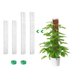 Soporte de Plástico para Plantas Trepadoras de Interior, Tutor para Plantas, Varilla de Musgo para el Crecimiento de Plantas, Accesorios de Soporte para Jardín