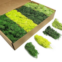 Plantas verdes artificiales, musgo de la vida eterna, manualidades DIY, césped, jardín, decoración de la habitación del hogar, Mini paisaje, hierba falsa, 20/40/100g