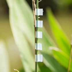 100 Uds Clips de injerto especiales de plástico soporte de plantas Clip de injerto de plántulas de tomate jardín invernadero verduras jardín