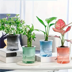 Maceta Transparente de Doble Capa con Autorriego, Maceta Hidropónica para Flores, Contenedor de Plástico para Plantas de Oficina