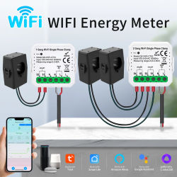 Monitor de energía inteligente Tuya, medidor de energía WiFi, transformador de corriente de doble canal 80A, Monitor de consumo de producción de energía, hogar inteligente