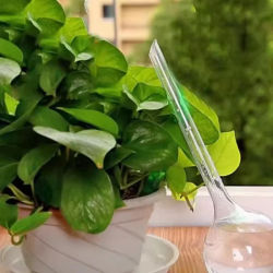 Dispositivo de Riego Automático para Plantas, Bolas de Plástico, Bombillas de Riego, Sistema de Riego por Goteo