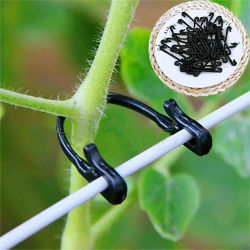 Ganchos de hebilla atados de plástico para sujetador de enredaderas, soporte de uva para jardinería, Clips de flejado de verduras, gancho de hebilla fija, soporte para plantas