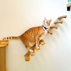 Escaleras trepadoras para gatos, escalones montados en la pared hechos de madera y cuerda de Sisal, escalera para rascar, muebles para mascotas para gatos de interior, jugando al sueño