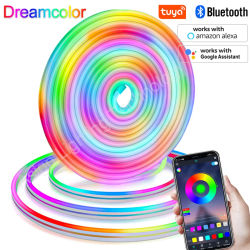Tira de luces LED de neón Multicolor, cuerda de luz RGBIC de 12V, resistente al agua, efecto de búsqueda, Flexible, con WiFi, Bluetooth y control remoto