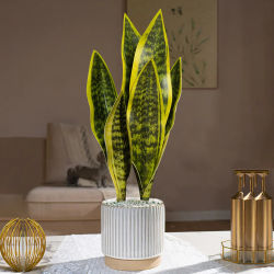 Plantas de serpiente artificiales de 31/37cm, plantas suculentas falsas, planta de piel de tigre de plástico, Sansevieria Tropical para decoración de mesa de oficina y hogar