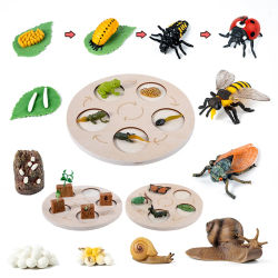 Modelo de biología de simulación para niños, juguete de planta Animal, ciclo de crecimiento de vida, juego de juguetes Montessori para niños, material didáctico, juguetes educativos