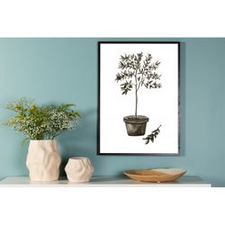 Olive Plakat - Grøn og Hvid