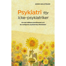 Psykiatri för icke-psykiatriker : om det hållbara bemötandet och de vanligaste psykiatriska tillstånden (häftad)