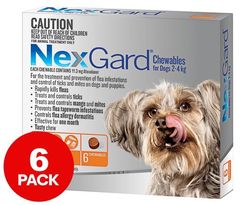 NexGard Flea & Tick Control Chews for Small Dogs 2-4kg 6pk