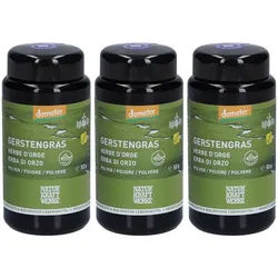 Naturkraftwerke Gerstengras Pulver