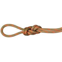 Mammut 8.0 Alpine Dry Rope - Halbseil / Zwillingsseil - boa-vibrant orange - 30m