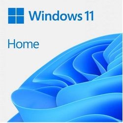 Microsoft Windows 11 Home für Windows