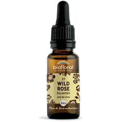 Biofloral Wilde Rose - Hagebutte