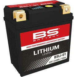 BS-Battery Batterie LiFePO4 BSLI-01