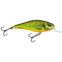Salmo Kunstköder Salmo Executor Wobbler 12cm schwimmend Ltd. Edition, (1-St)