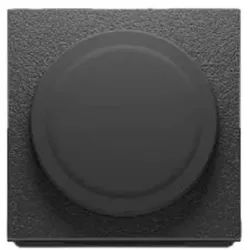 Rise Solo Qi2