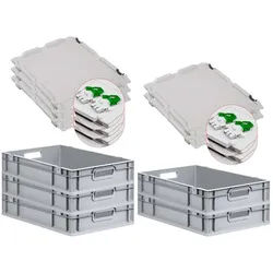 PROREGAL 5x Eurobox NextGen Grip mit Scharnierdeckel & grünen Verschlüssen | HxBxT 12x40x60cm | 23 Liter | Griffe offen | Glatter Boden