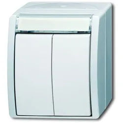 Busch-Jaeger 2621WN-54-205-101 Doppeltaster/ Serientaster, IP44