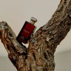 Jo Malone London Cologne Intense Myrrh & Tonka Eau de 100 ml unisex