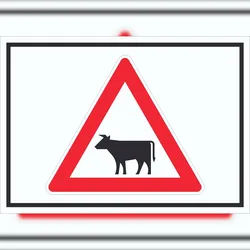 HB-Druck Schild Achtung Viehbetrieb Tiere Symbole A6 (105x148mm)