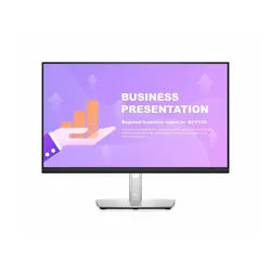 DELL P2422HE, 23.8"