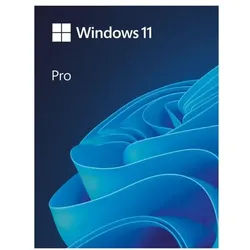 Microsoft Betriebssystem »Windows 11 Pro«, 64bit DSP-Version