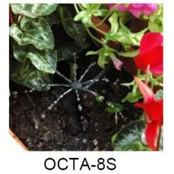 Octa Mitter Trofper / Bubbler (Octa Mitter: 180° Linien Tropfer/Bubbler)