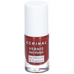 Ecrinal® Vernis Colores Silicium & TEE Trea Terracotta