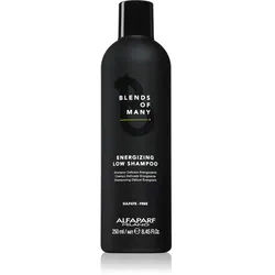Alfaparf Milano Blends of Many Energizing Energizing Shampoo für sanfte und müde Haare 250 ml