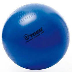 Togu Powerball® Premium Abs® aktiv&gesund 55 cm 1 St