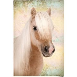 Poster REINDERS "Pony Liebe" Bilder Gr. B/H: 61 cm x 91,5 cm, 1 St., braun Poster