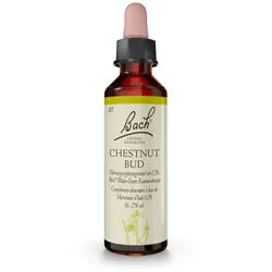 BACHBLÜTEN Chestnut Bud Tropfen 20 ml