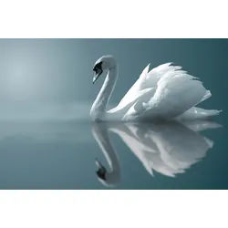 Papermoon Fototapete VLIES-Tapete Premium "Schwan im Wasser", Kleister KOSTENLOS, reduziert, 3D-Effekt, restlos trocken abziehbar, (2770), Wandtapete Bild Dekoration Wand-Dekor Motiv Tapete Poster 4.5 m x 2.8 m