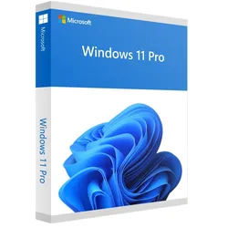 Microsoft Windows 11 Professional (Online Aktivierung)