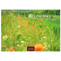 Wandkalender Blumenwiese Kalender 2027 - Wandkalender, Fotokalender...