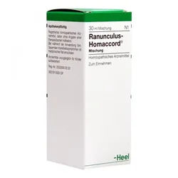 Ranunculus Homaccord Tropfen