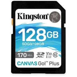 KINGSTON SD-Card Canvas GO!, 128 GB