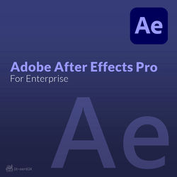 Adobe After Effects Pro für Enterprise