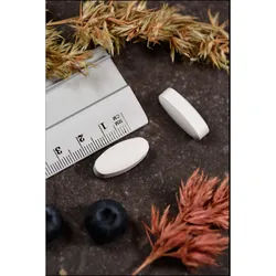 Magnesium Citrat 400 mg Kal 60 ST